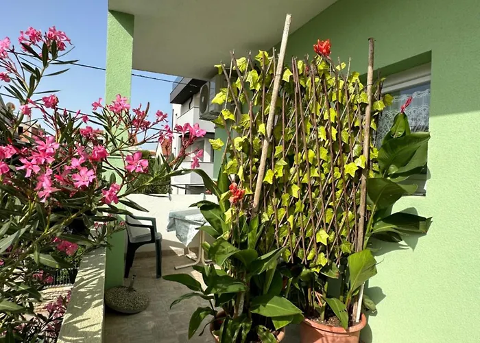 Tratincica Appartement